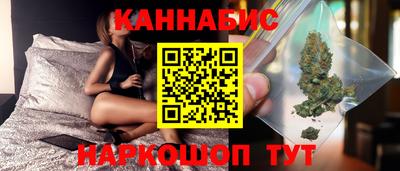 гашик Бузулук