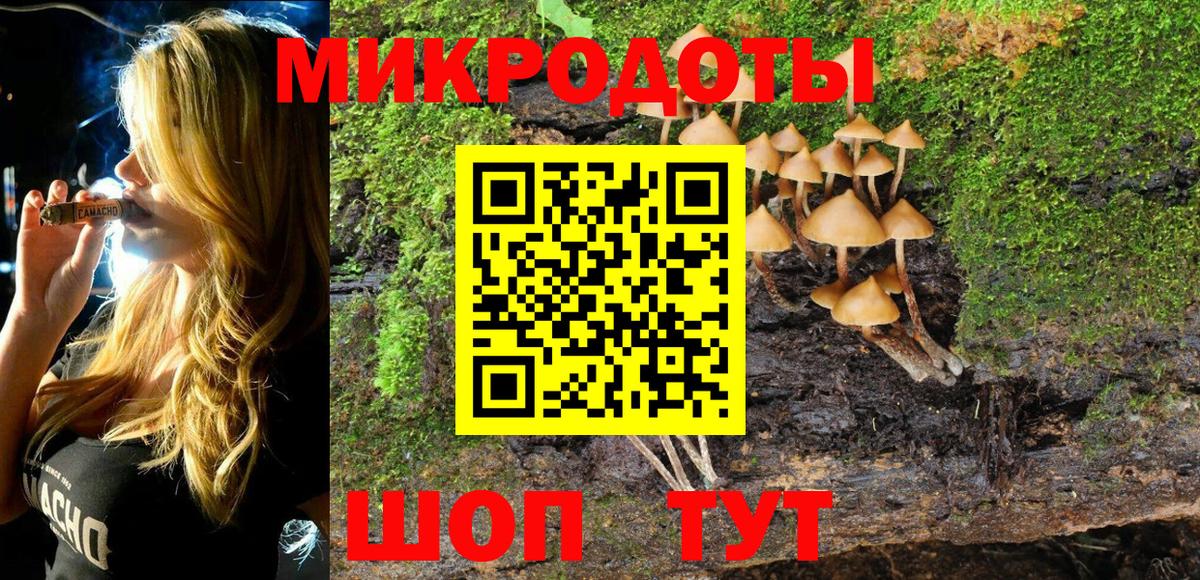 Миасс  Галлюциногенные грибы MAGIC MUSHROOMS  Вход с VPN  дарнет шоп  Псилоцибиновые грибы Psilocybe 