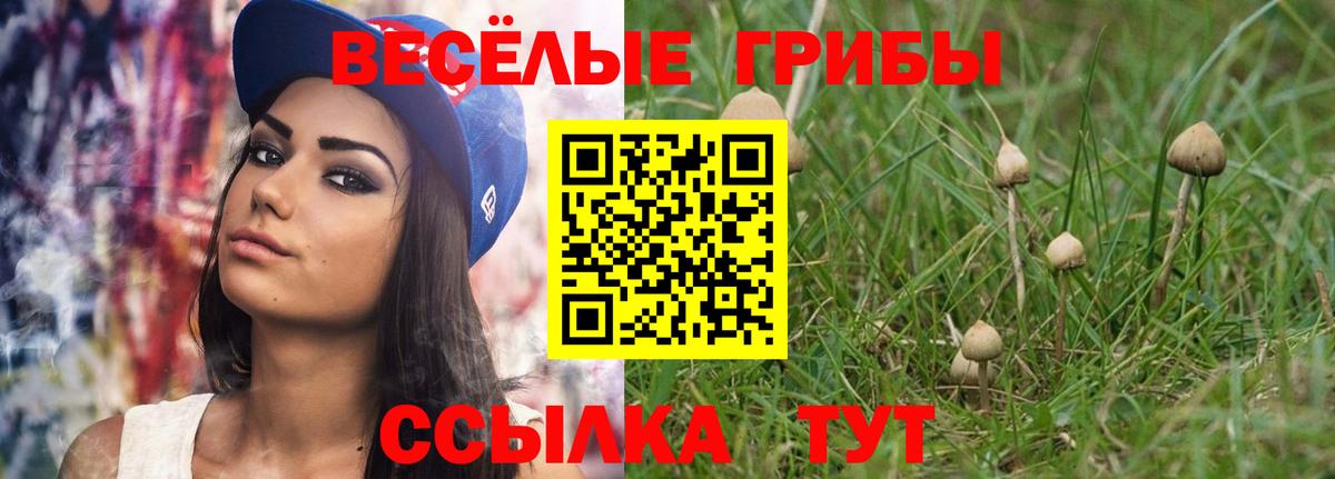 Псилоцибиновые грибы Psilocybine cubensis Миасс